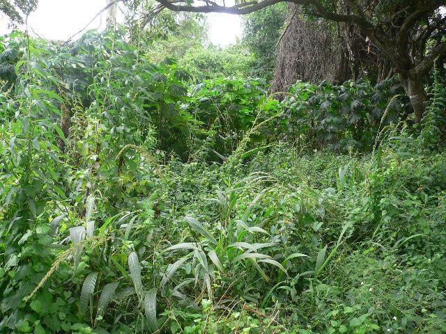 Vacant land for sale in Pennington - 1si467893