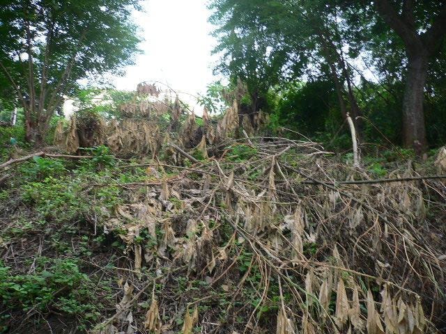 Vacant land for sale in Pennington - 1si1000517