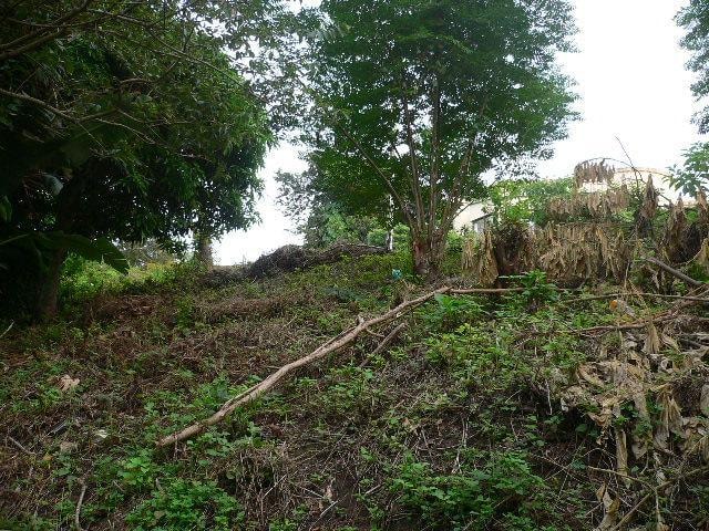 Vacant land for sale in Pennington - 1si1000517