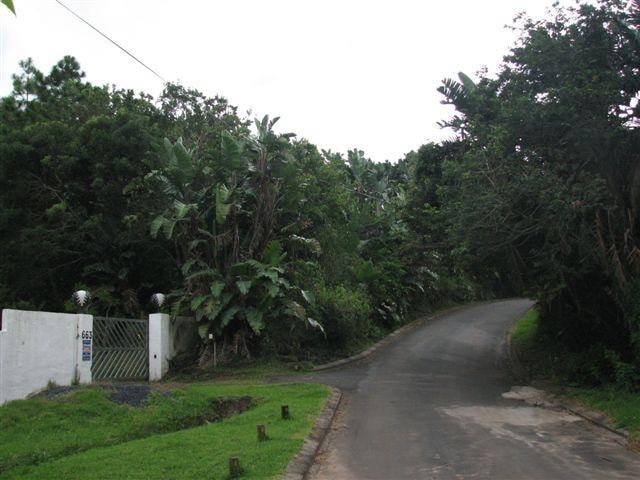 Vacant land for sale in Southbroom - 1PD1531520