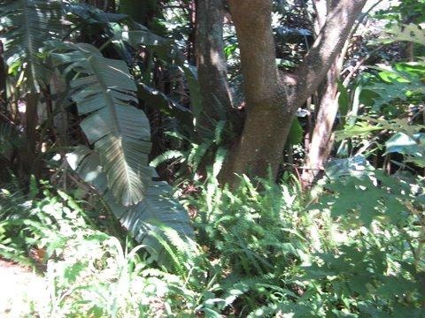 Vacant land for sale in Southbroom - 1PD1531520