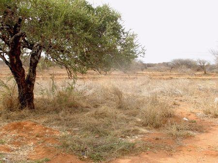 Vacant land for sale in Ellisras (Lephalale) - 1ER483347 Vacant land for sale in Ellisras (Lephalale) - 1ER483347