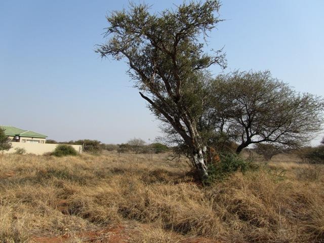 Vacant land for sale in Ellisras (Lephalale) - 1ER483347 Vacant land for sale in Ellisras (Lephalale) - 1ER483347