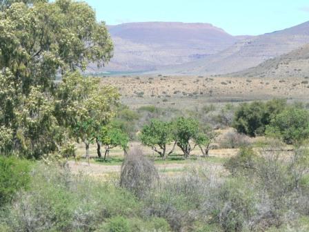 Livestock farm for sale in Beaufort West - 1KK460770