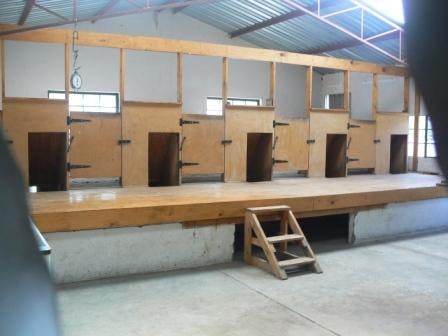 Livestock farm for sale in Beaufort West - 1KK460770