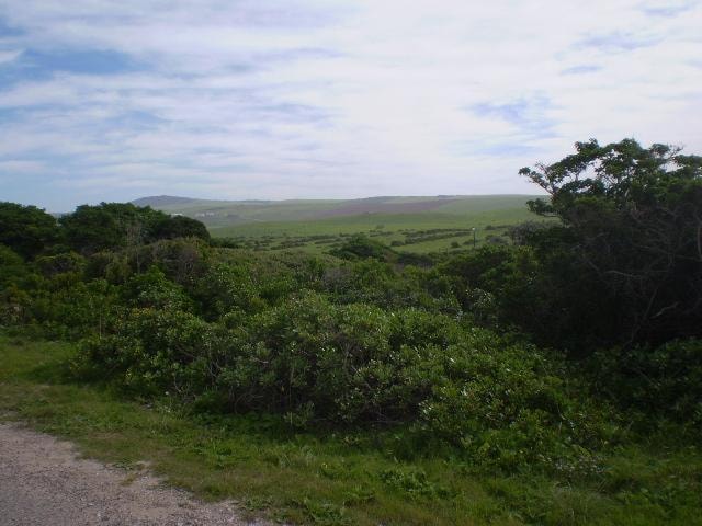 Vacant land for sale in Boknesstrand - 1KO1750719 Vacant land for sale in Boknesstrand - 1KO1750719