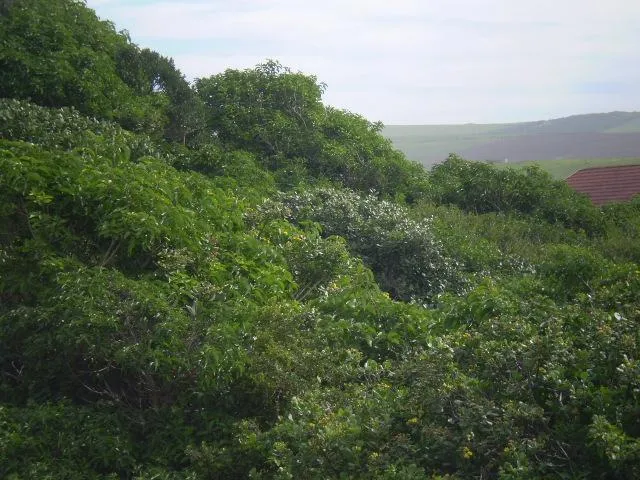 Vacant land for sale in Boknesstrand - 1KO1750719
