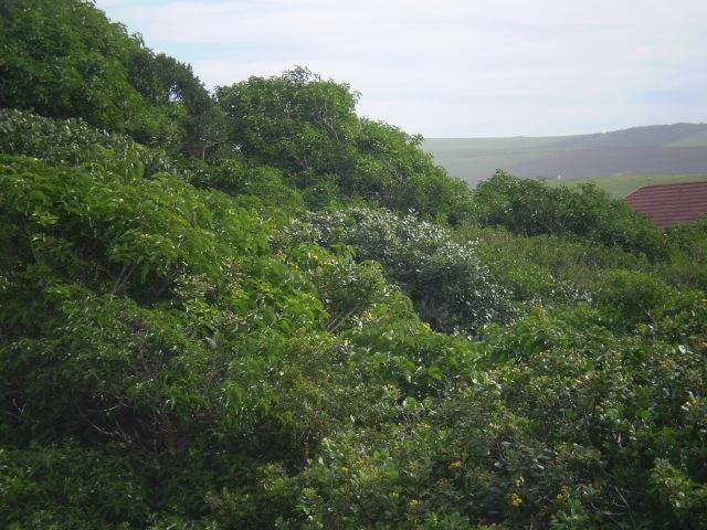 Vacant land for sale in Boknesstrand - 1KO1750719 Vacant land for sale in Boknesstrand - 1KO1750719