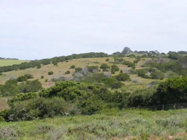 Vacant land for sale in Forest Downs - 1PF1032891