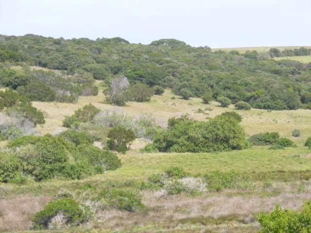 Vacant land for sale in Forest Downs - 1PF1032891