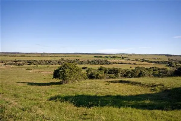 Residential vacant land for sale in Kenton Eco Estate - 1KO1043283