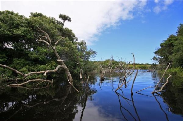 Residential vacant land for sale in Kenton Eco Estate - 1KO1043283