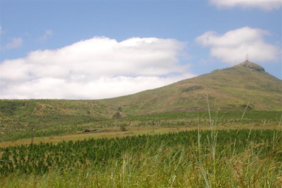 Vacant land for sale in Sabie - 1LY520073