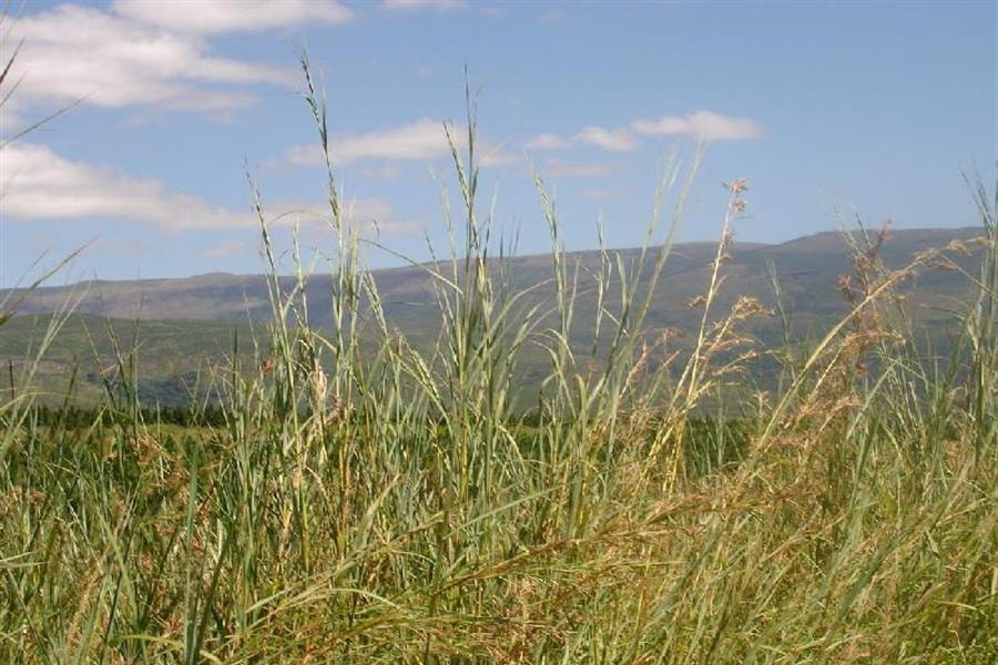 Vacant land for sale in Sabie - 1LY520073