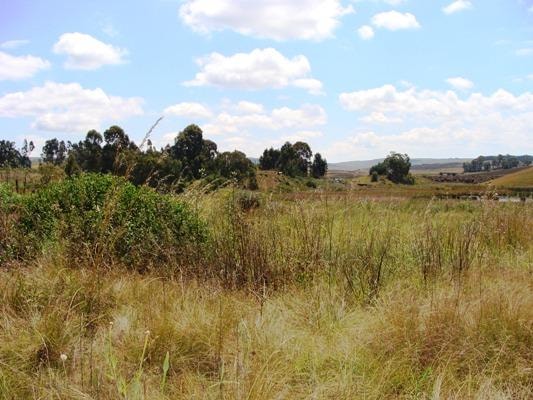 Vacant land for sale in Dullstroom - 1DS1045668 Vacant land for sale in Dullstroom - 1DS1045668