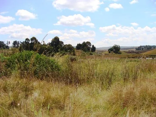 Vacant land for sale in Dullstroom - 1DS1045668 Vacant land for sale in Dullstroom - 1DS1045668