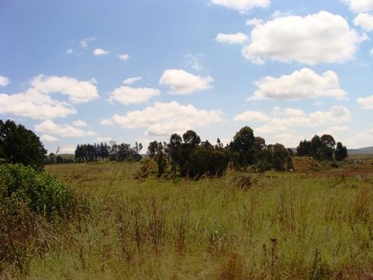 Vacant land for sale in Dullstroom - 1DS1045668 Vacant land for sale in Dullstroom - 1DS1045668