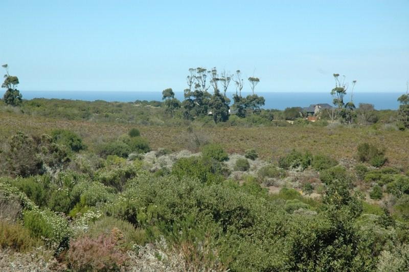 Residential vacant land for sale in Pezula Private Estate - 1KC1046524