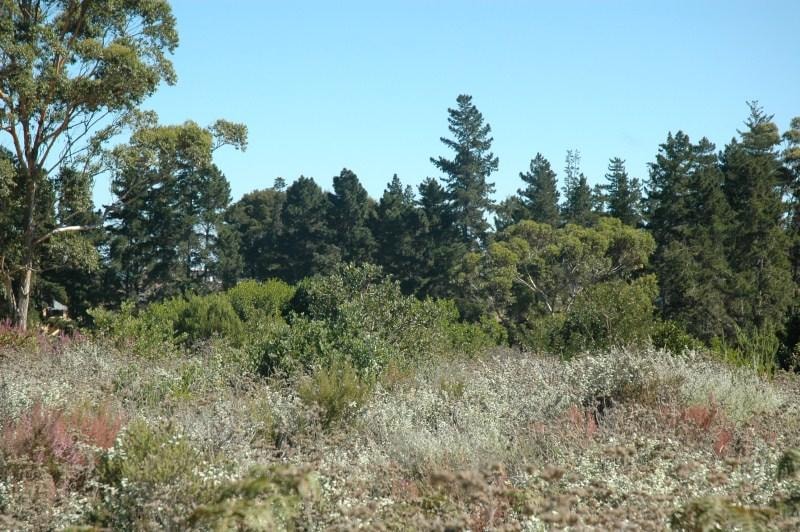 Residential vacant land for sale in Pezula Private Estate - 1KC1046524