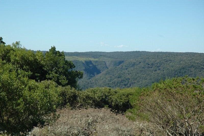 Residential vacant land for sale in Pezula Private Estate - 1KC1046534