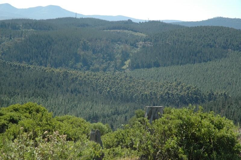 Residential vacant land for sale in Pezula Private Estate - 1KC1046534