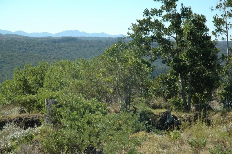 Residential vacant land for sale in Pezula Private Estate - 1KC1046534