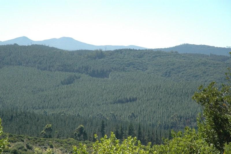 Residential vacant land for sale in Pezula Private Estate - 1KC1046554