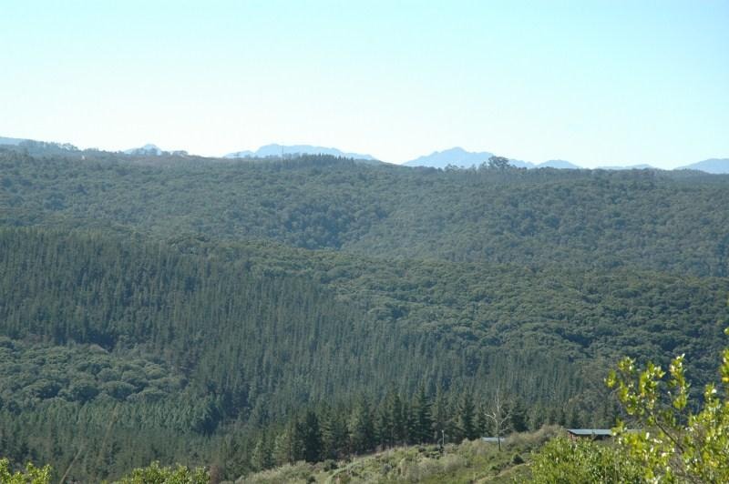 Residential vacant land for sale in Pezula Private Estate - 1KC1046554