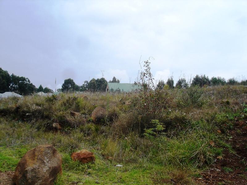 Vacant land for sale in Dullstroom - 1DS1047365 Vacant land for sale in Dullstroom - 1DS1047365