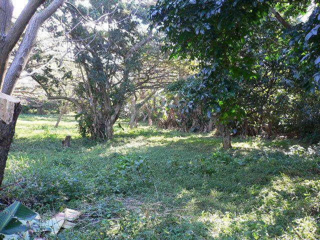 Vacant land for sale in Pennington - 1SI1543673