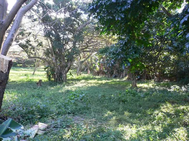 Vacant land for sale in Pennington - 1SI1543673 Vacant land for sale in Pennington - 1SI1543673