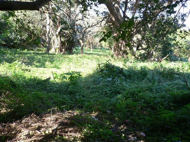 Vacant land for sale in Pennington - 1SI1543673