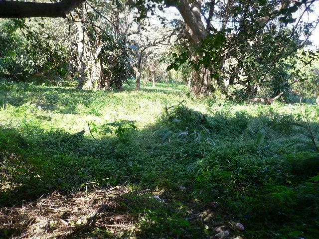 Vacant land for sale in Pennington - 1SI1543673 Vacant land for sale in Pennington - 1SI1543673