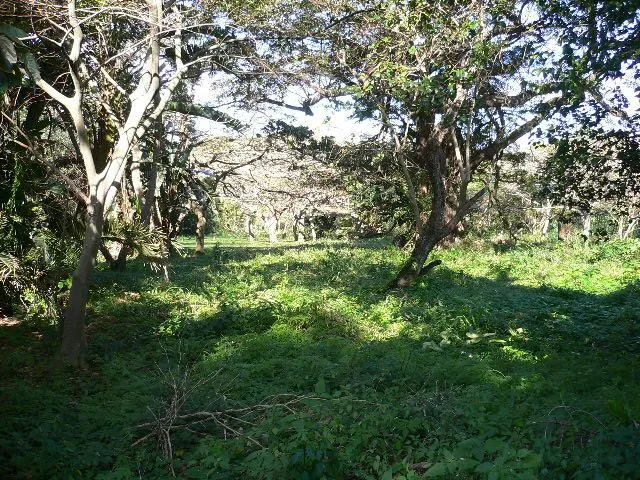 Vacant land for sale in Pennington - 1SI1543673 Vacant land for sale in Pennington - 1SI1543673