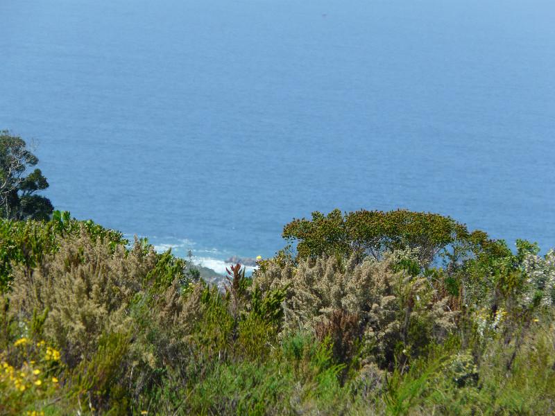 Residential vacant land for sale in Pezula Private Estate - 1KC1064221