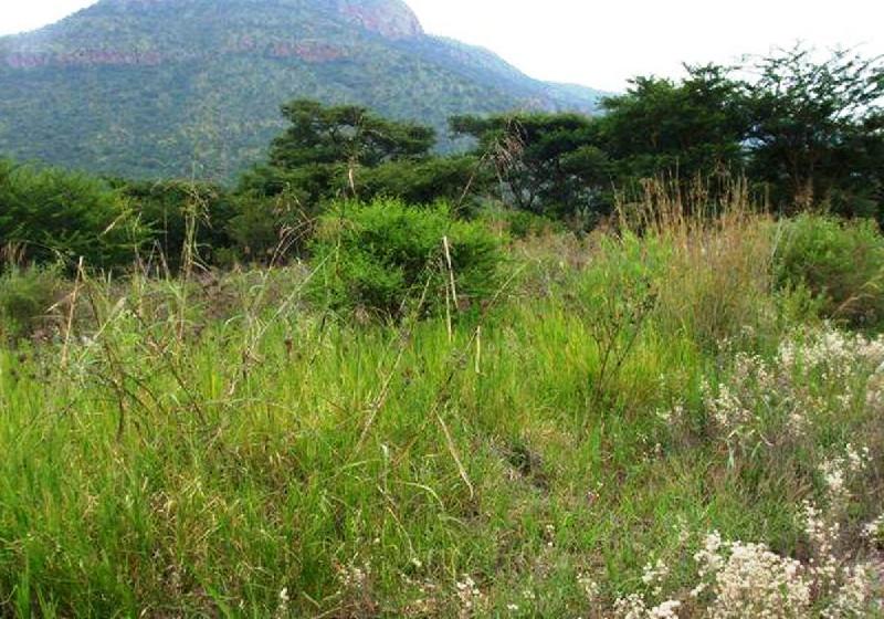 Vacant land for sale in Ohrigstad - 1LY473390