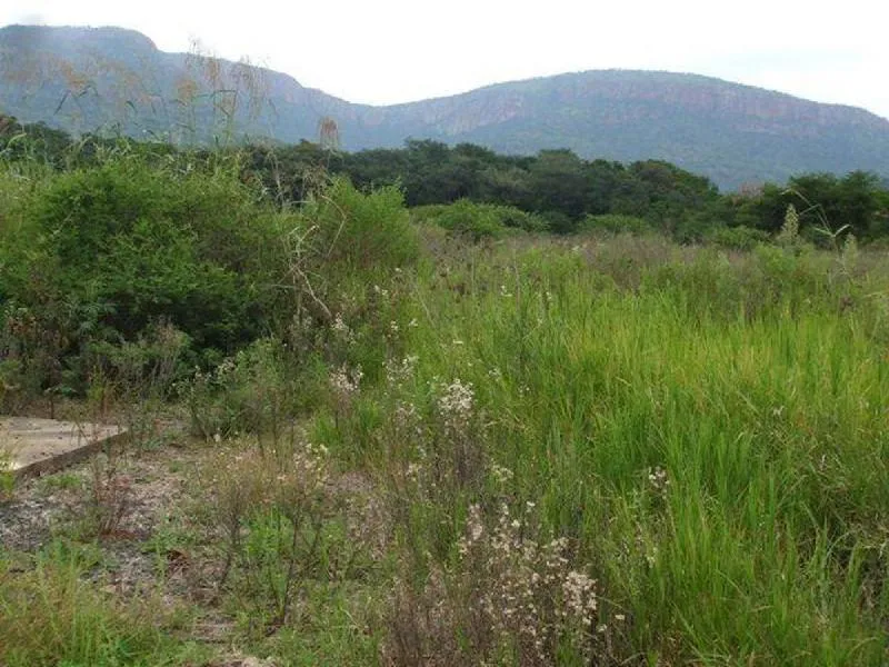 Vacant land for sale in Ohrigstad - 1LY473390