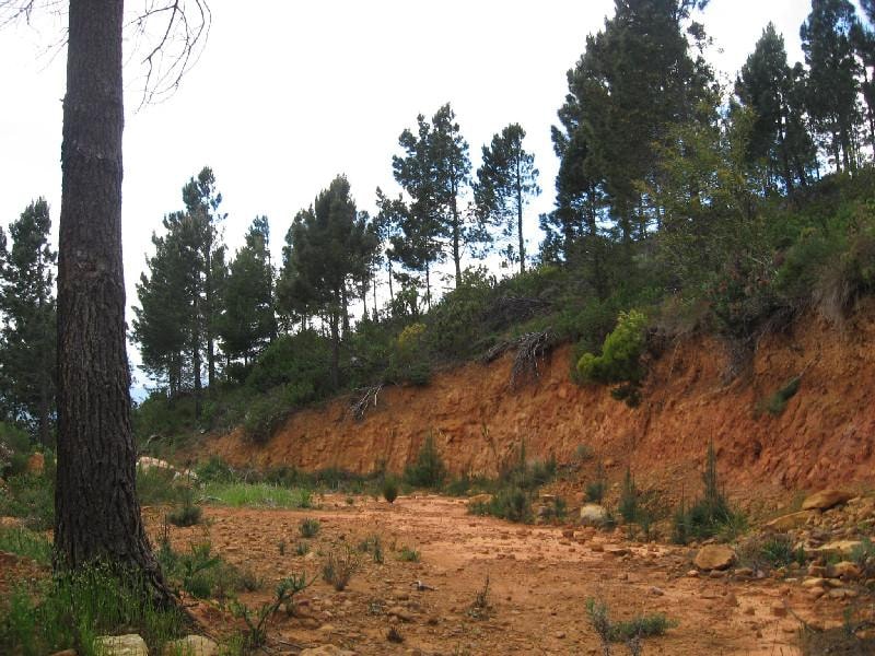 Residential vacant land sold in Mountainside - SW1425632 Residential vacant land sold in Mountainside - SW1425632