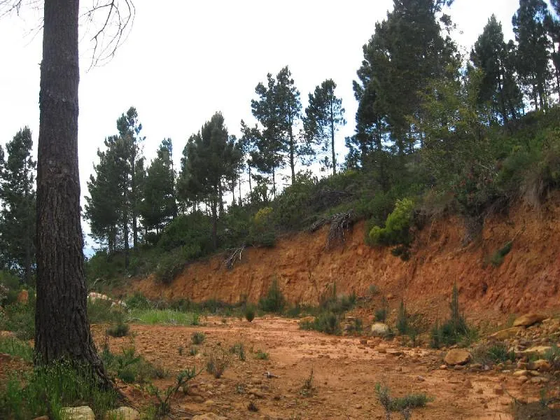 Residential vacant land sold in Mountainside - SW1425632 Residential vacant land sold in Mountainside - SW1425632