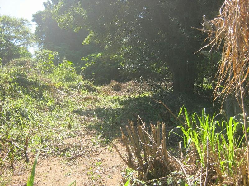 Residential vacant land for sale in Umtentweni - 1PX1575323