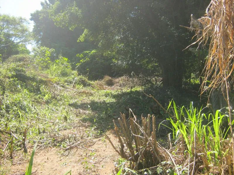Residential vacant land for sale in Umtentweni - 1PX1575323 Residential vacant land for sale in Umtentweni - 1PX1575323