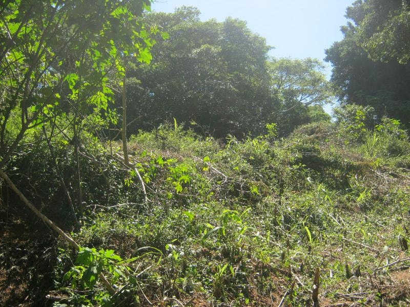 Residential vacant land for sale in Umtentweni - 1PX1575323