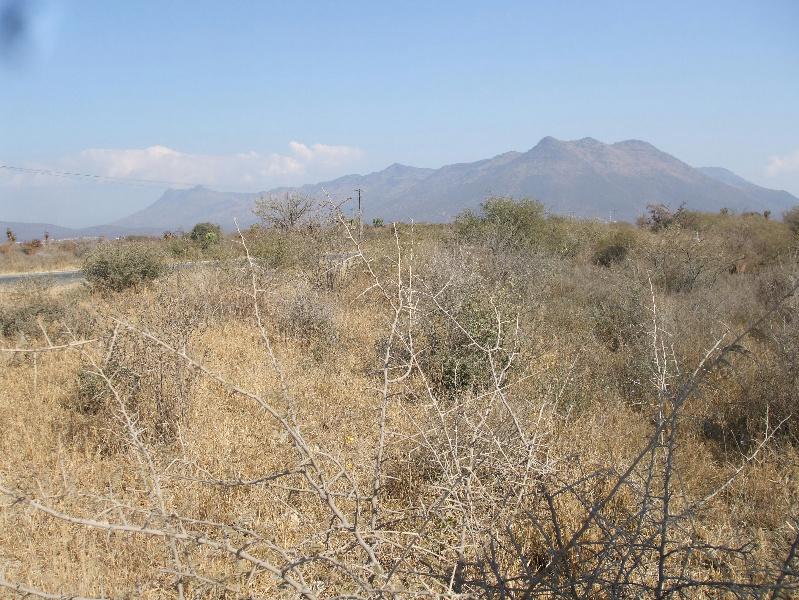 Commercial vacant land sold in Burgersfort - 1LY1095705