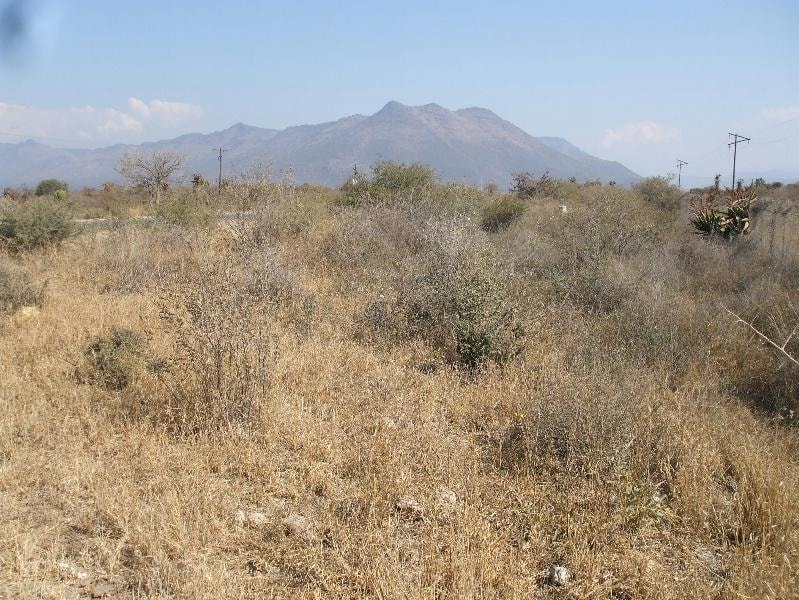 Commercial vacant land sold in Burgersfort - 1LY1095705 Commercial vacant land sold in Burgersfort - 1LY1095705