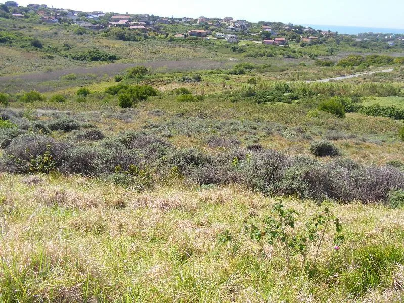 Vacant land for sale in Forest Downs - 1PF1105283