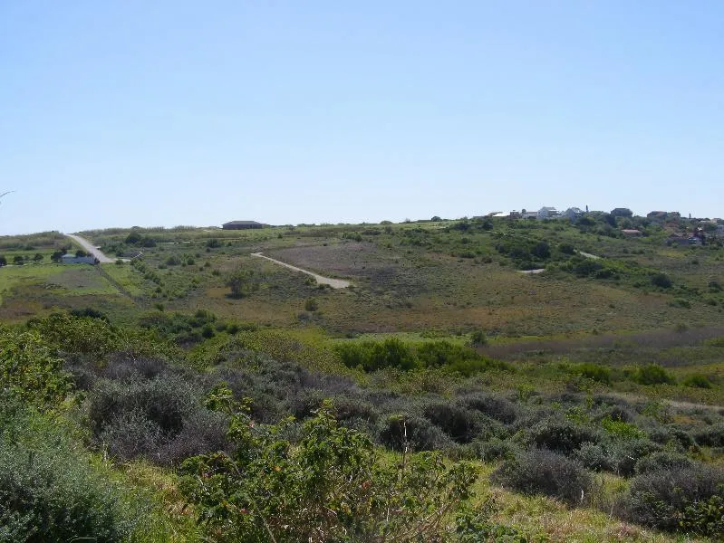 Vacant land for sale in Forest Downs - 1PF1105283