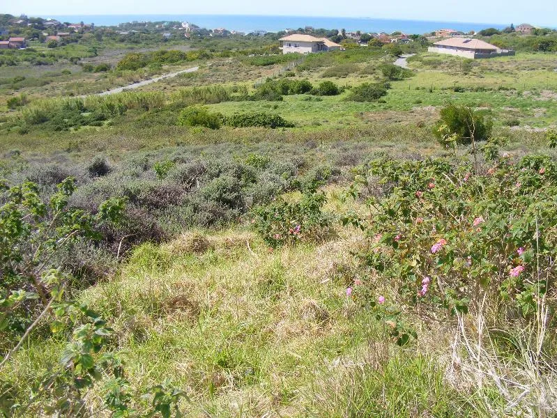 Vacant land for sale in Forest Downs - 1PF1105283