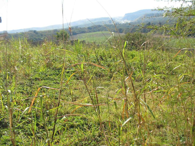 Residential vacant land for sale in Freeland Park - 1si1124944