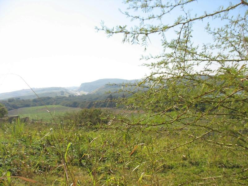 Residential vacant land for sale in Freeland Park - 1si1124944