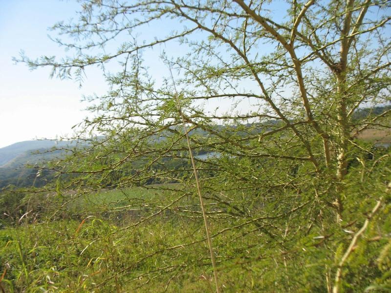 Residential vacant land for sale in Freeland Park - 1si1124944